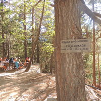 Samaria - in the fragrant pines near the top - the first of many rest areas