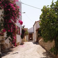 plaka_02